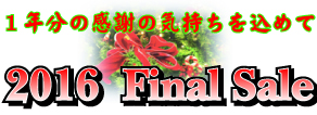 2016  Final Sale