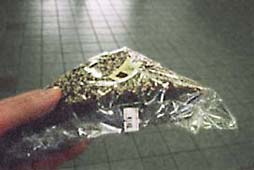 fukagawa.jpg