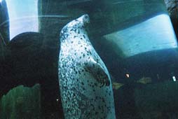 zoo3