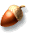 donguri