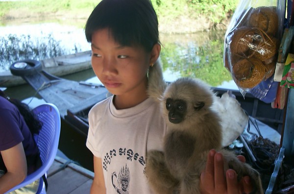 ���O�͊m�����V���g������