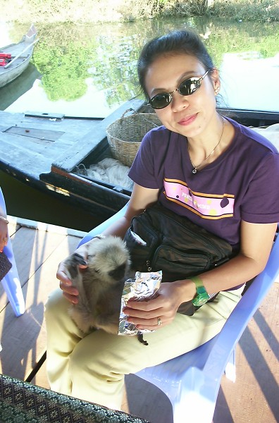 �l�ɊÂ��鉎