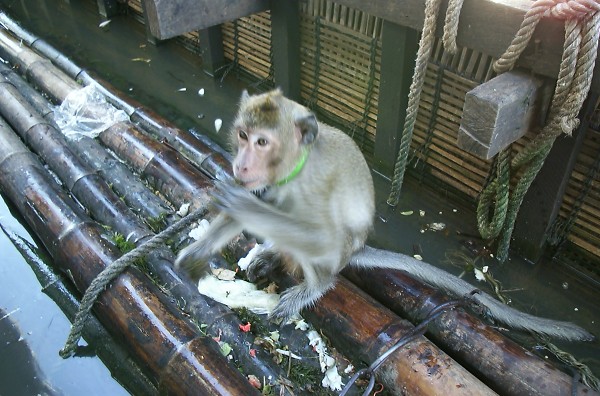 �����̉��Ȃ�ł��H��