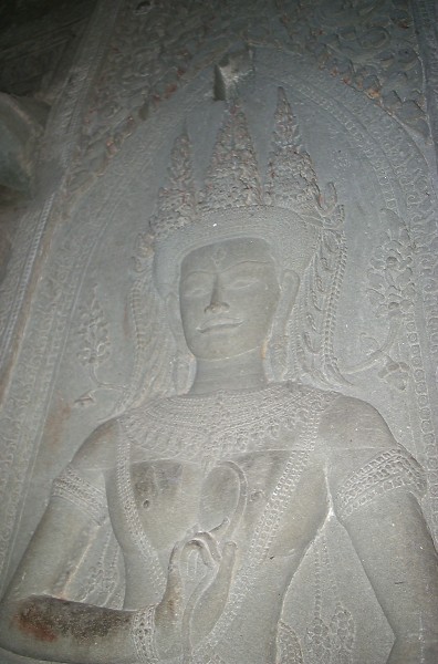 �A���R�[�����b�g�閾���̃f�o�^�[4