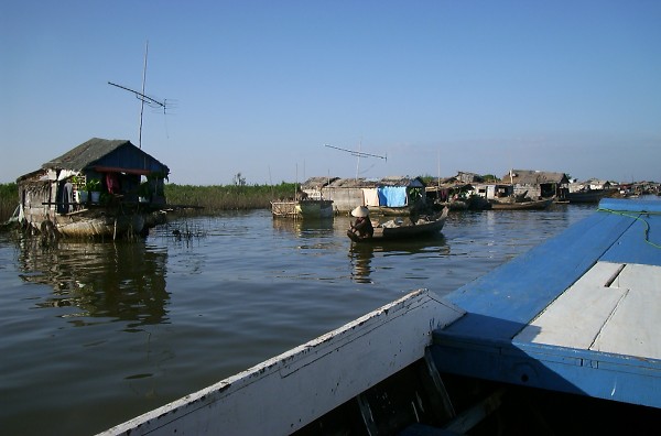 �n�������㐶����