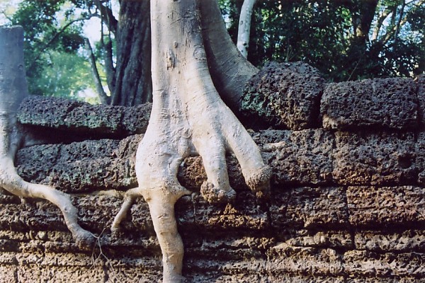 �������߂鈫���̍�