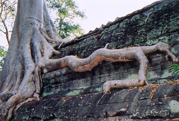 �΂̒��̐������߂�