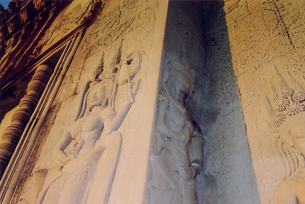 �A���R�[�����b�g�閾���̃f�o�^�[2