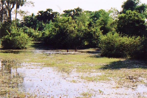 �r�ɗV�Ԏq��