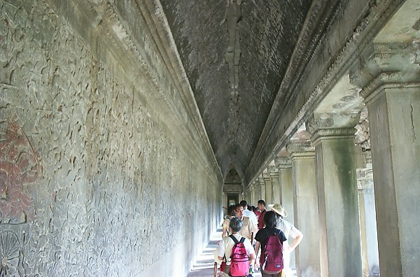 �Ƃ���ǂ��뉺�h��̐F��