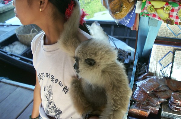 �����Ƒ������[��