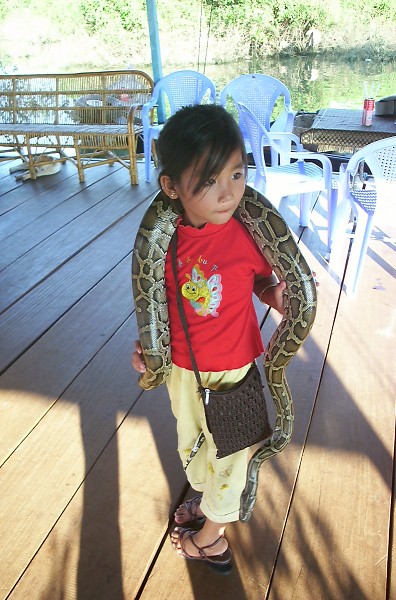 �A�i�R���_����