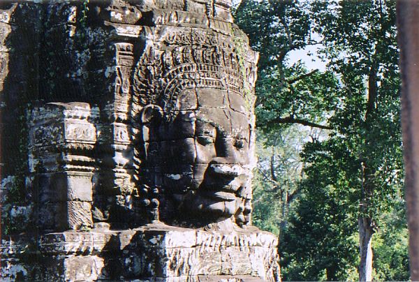 �A���R�[���g���l�ʕ�