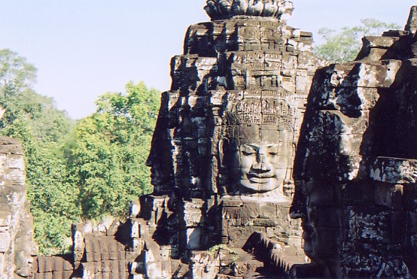 ��ԍD���Ȋ�