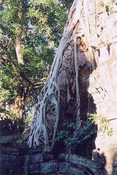 ��Ղ�H���؂�H����