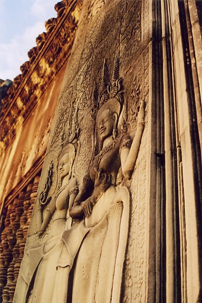 �A���R�[�����b�g�閾���̃f�o�^�[1