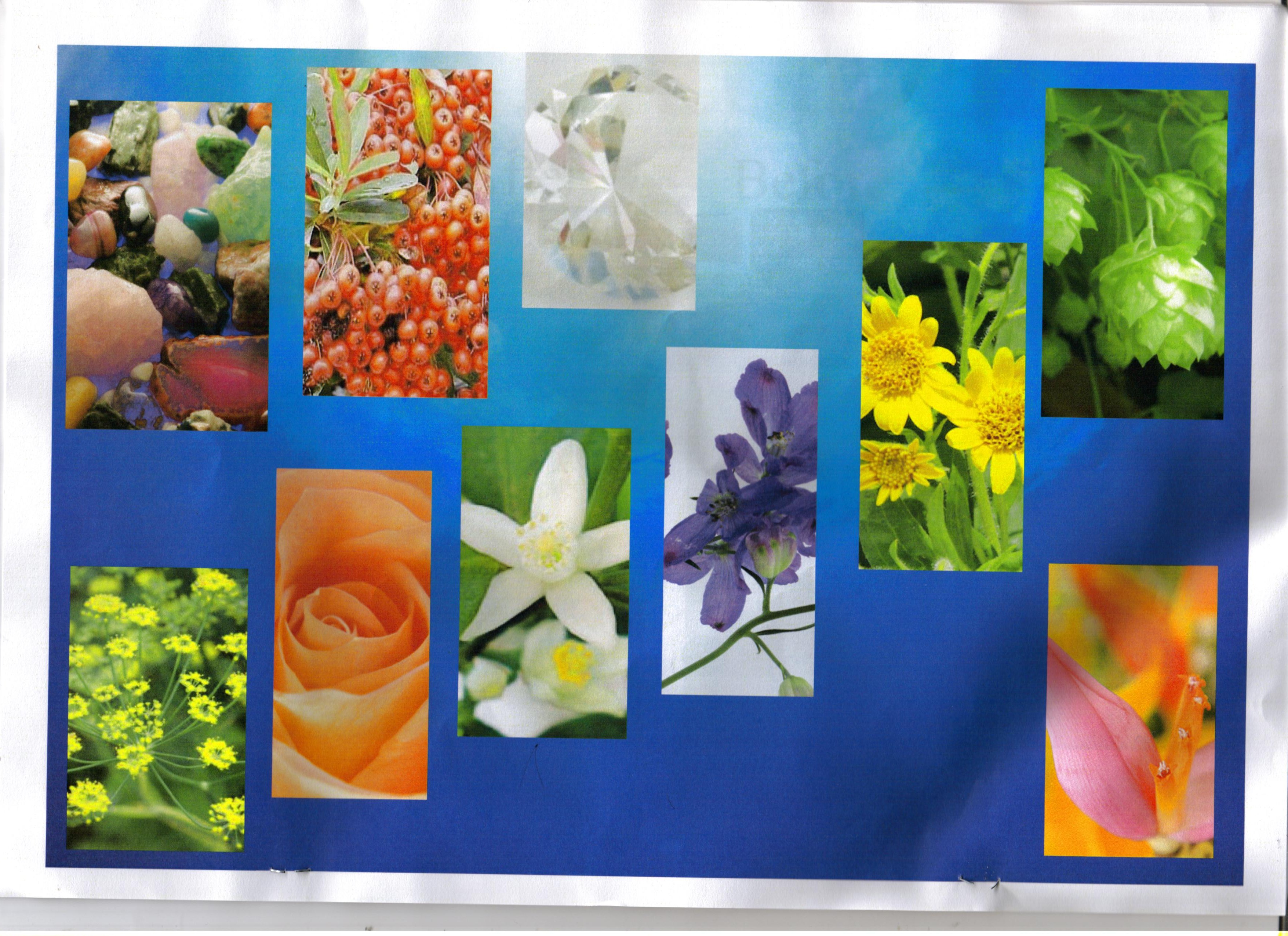 �����e�Z���s�[