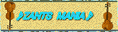 ZANTS MANIA