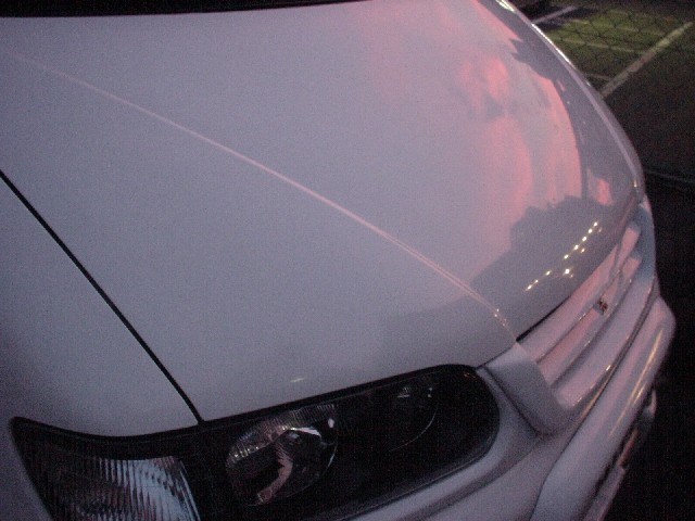 delica1
