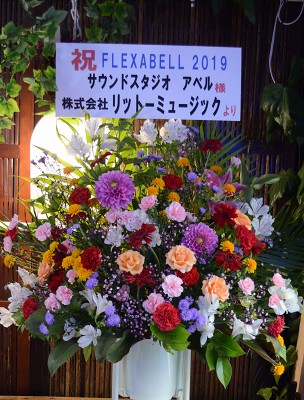 flex_abell_2019_2