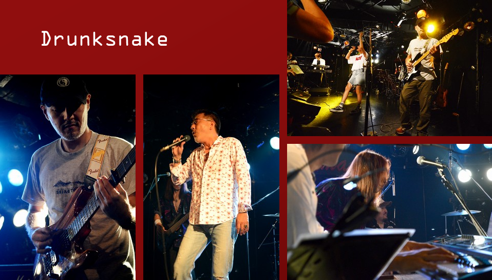 Drunksnake